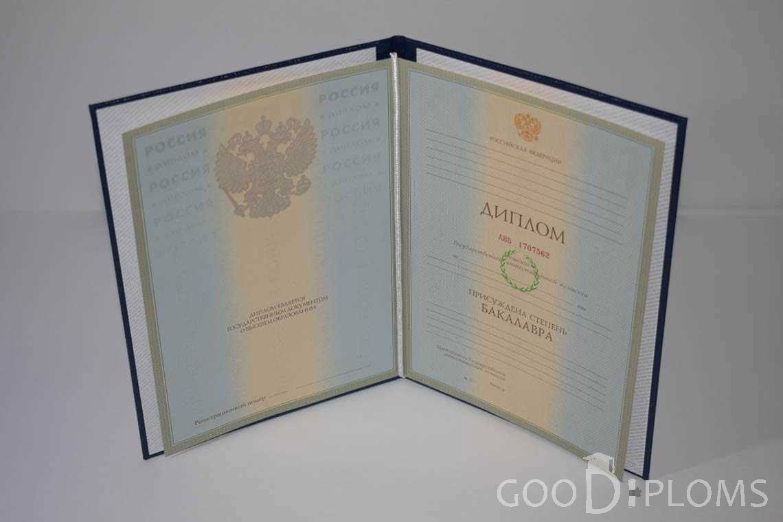 Диплом Бакалавра в период c 2003 по 200 год - Днепропетровск