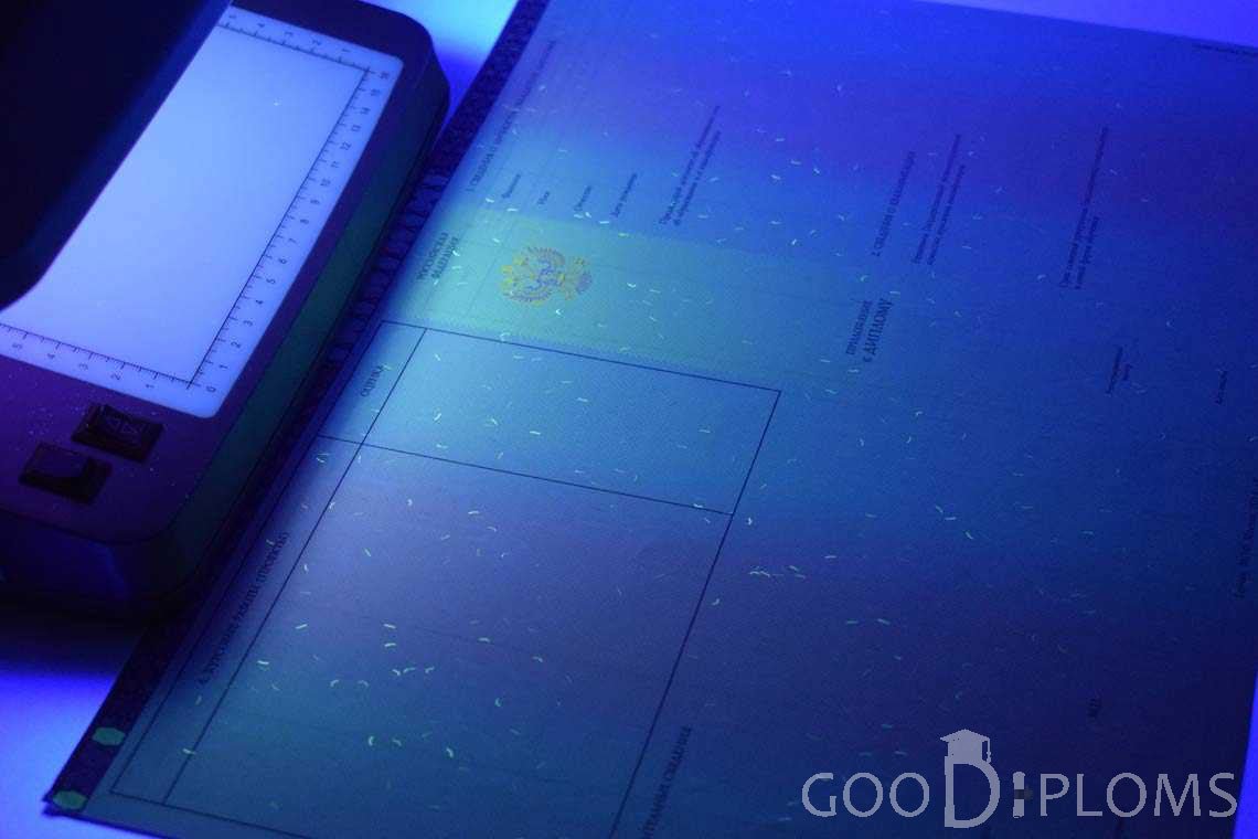 Приложение к Диплому Бакалавра с Отличием в Ультрафиолете период c 2013 по 2025 год - Днепропетровск