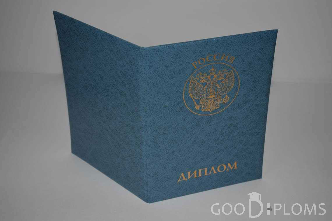 Диплом МВА - Обратная Сторона период выдачи 2011-2020 -  Днепропетровск