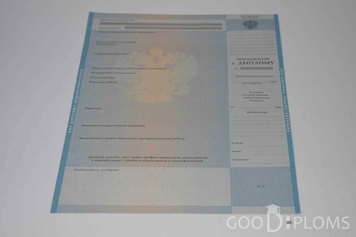 Приложение к Диплому Магистра в период c 2009 по 2010 год - Днепропетровск