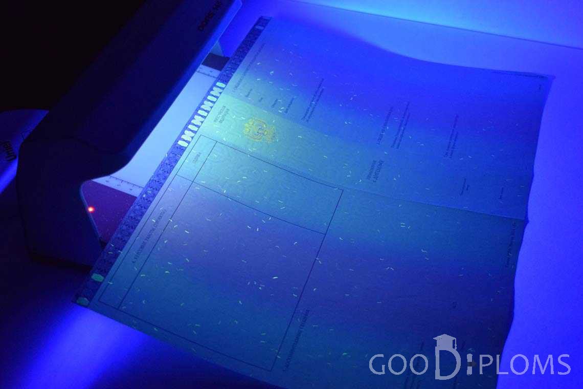 Приложение к Диплому Магистра в Ультрафиолете в период c 2014 по 2025 год - Днепропетровск