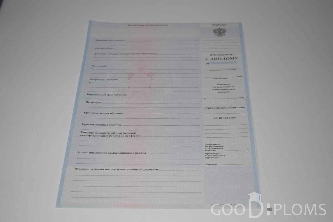 Приложение к Диплому Техникума с Отличием в период c 2008 по 2010 год - Днепропетровск