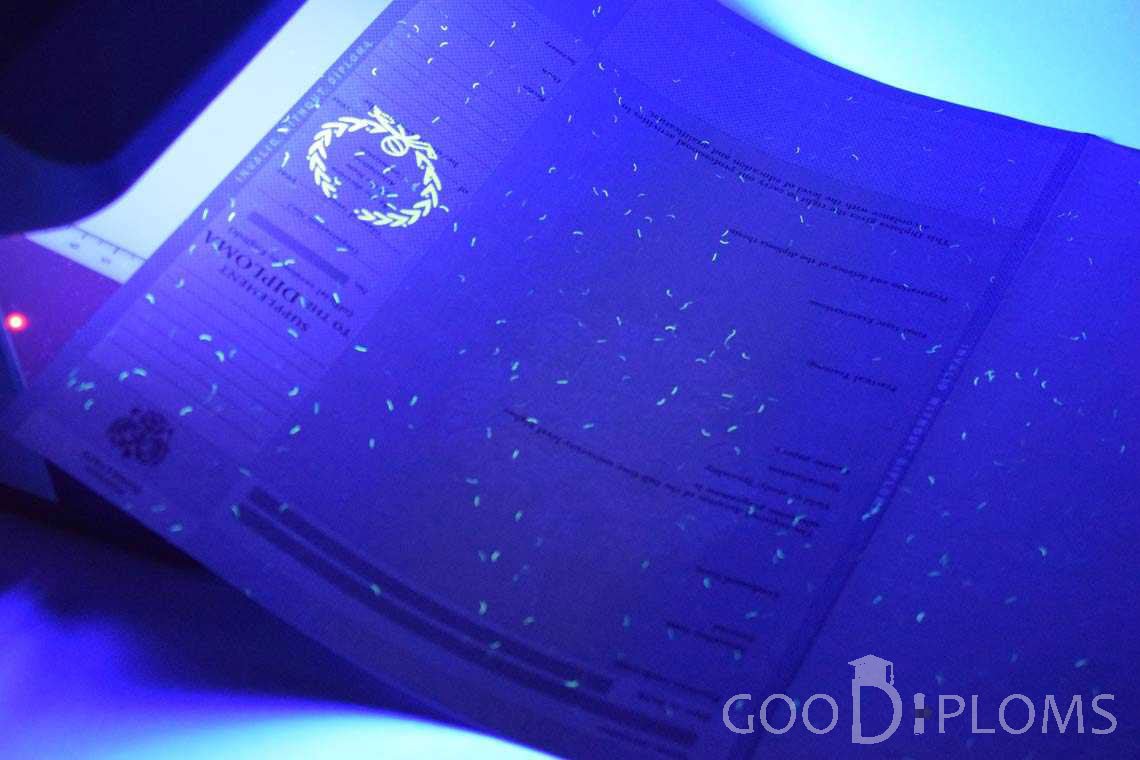 Приложение к Диплому Для Иностранных Граждан в Ультрафиолете - Днепропетровск