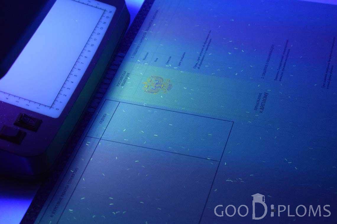 Приложение к Диплому о Высшем Образовании с Отличием в Ультрафиолете - Днепропетровск